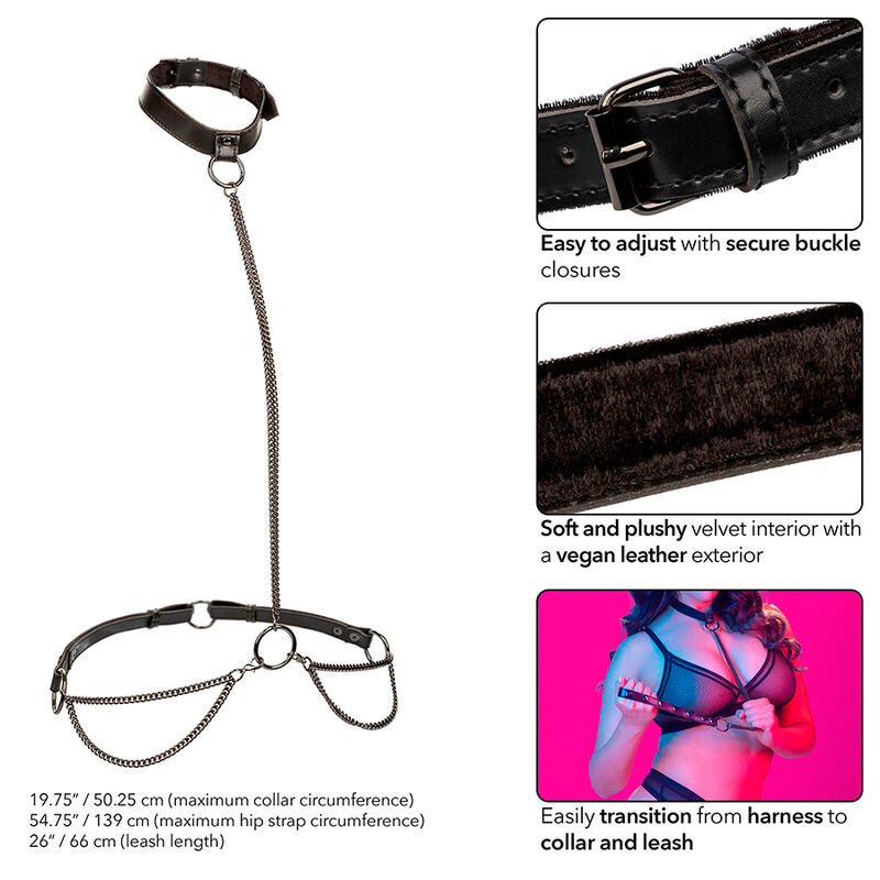 CALEXOTICS - EUPHORIA CHAIN ​​HALTER ΓΙΑ ΚΟΛΛΑΡΟ & ΛΟΥΡΙ ΜΕ ΑΛΥΣΙΔΑ PLUS SIZE
