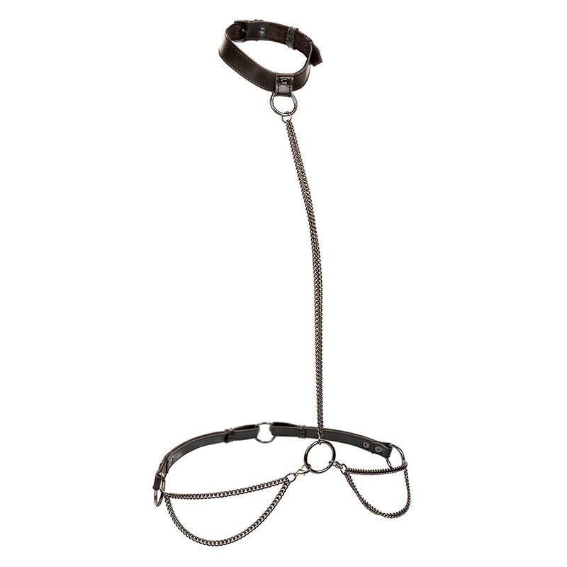 CALEXOTICS - EUPHORIA CHAIN ​​HALTER ΓΙΑ ΚΟΛΛΑΡΟ & ΛΟΥΡΙ ΜΕ ΑΛΥΣΙΔΑ PLUS SIZE